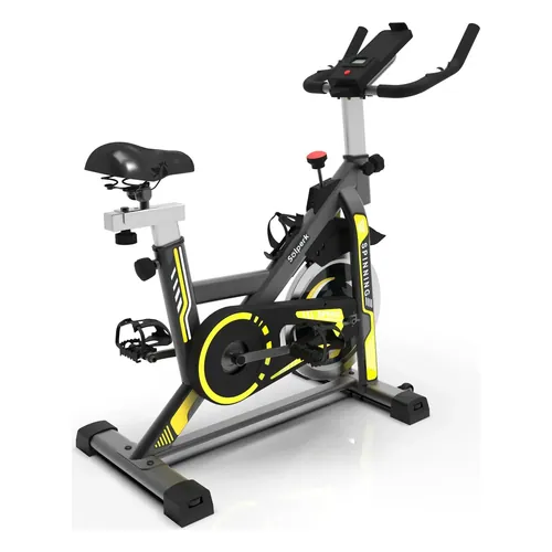 Bicicleta Spinning Romantic Crown