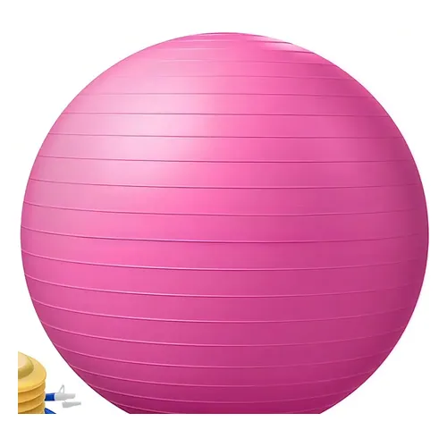 Bola de Pilates Justgofit 65 cm com Bomba
