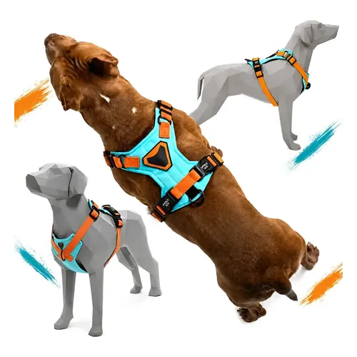 Peitoral H Apolodog Anti-Puxão em Náilon